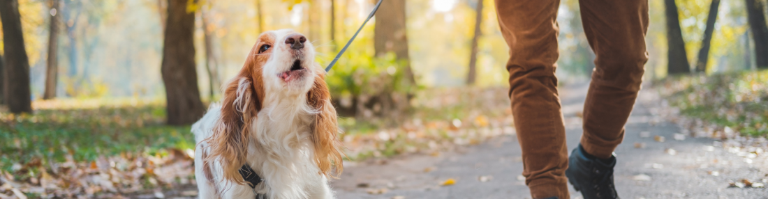 Begegnungstraining mit Videoanalyse – Realität statt Bauchgefühl
